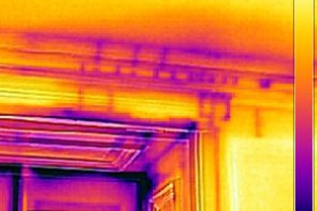Infrared imaging detects water and mold damage