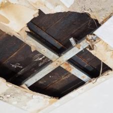How To Remove Mold In The Attic