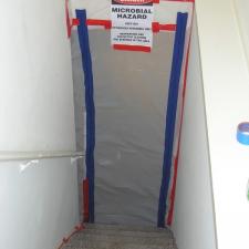 mold-removal 1