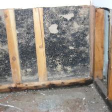 mold-removal 3