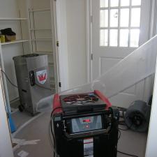 mold-removal 6