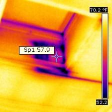 thermal-imaging 5
