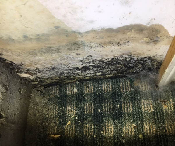 Does Your Connecticut Home Have Invisible Mold Growth?