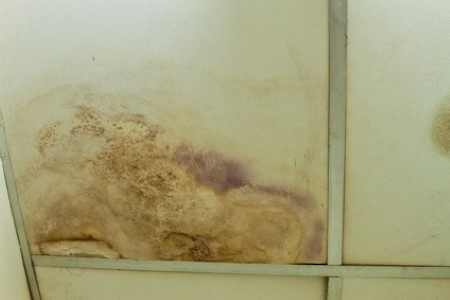 4 common signs that you have mold in your westport home