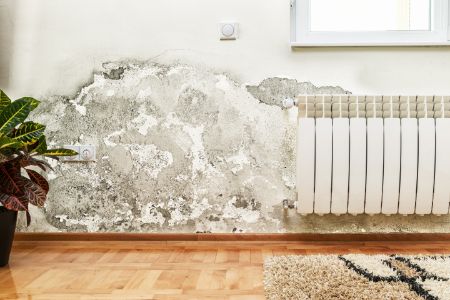 Classes and categories of water damage