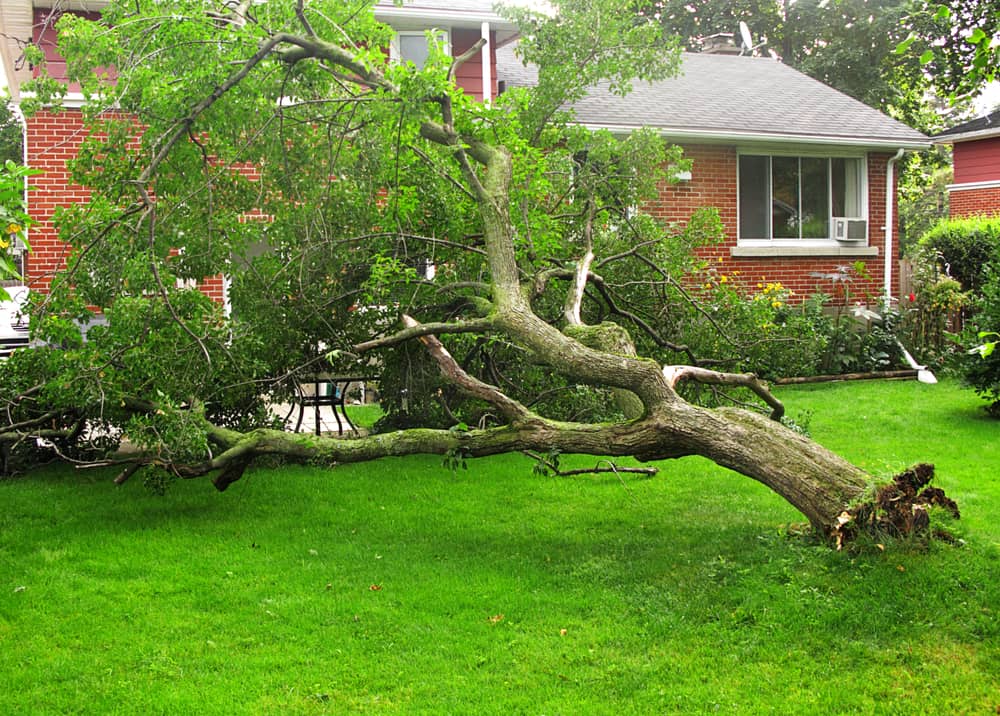 How to avoid storm chasing contractors riverside restoration westport ct