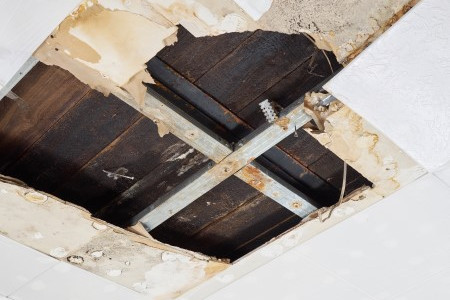 How to remove mold in the attic