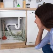 7 Mold Prevention Tips