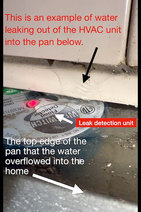 How does the water damage restoration process work