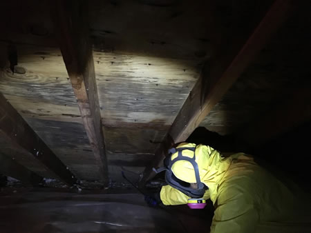 Technician assessing soot and smoke damage in a fairfield ct attic