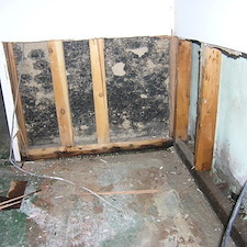 How Can You Tell If Mold Is Growing in Your Home?