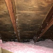 Mold Remediation Westport Connecticut 1