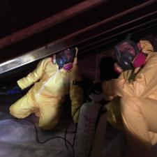 Mold Remediation Westport Connecticut 4