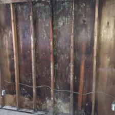Attic Mold: What Westport Homeowners Need To Know